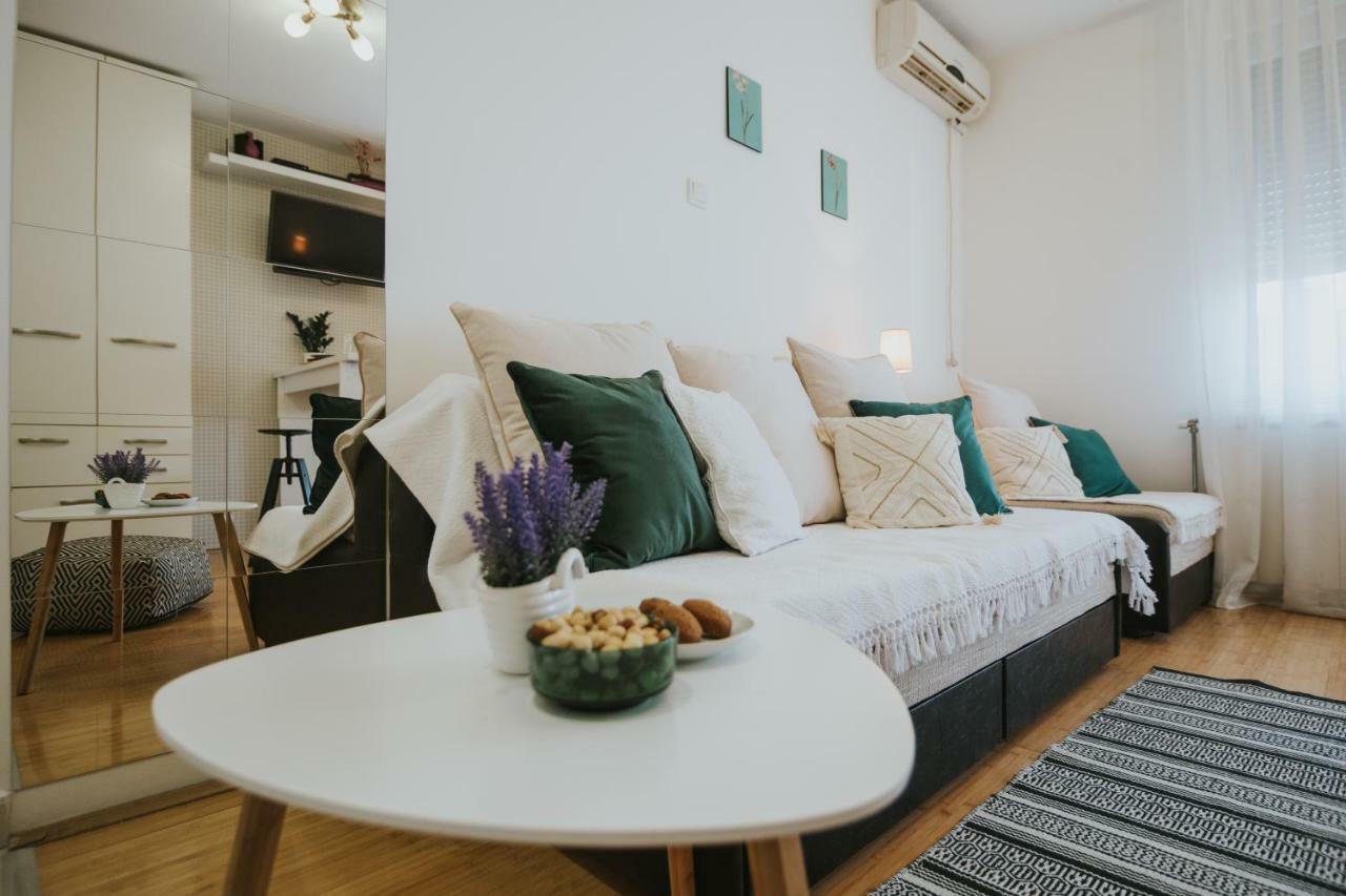 Mimika Apartman Appartamento Novi Sad Esterno foto