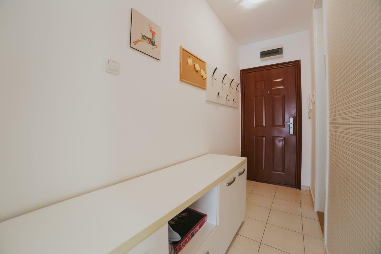 Mimika Apartman Appartamento Novi Sad Esterno foto